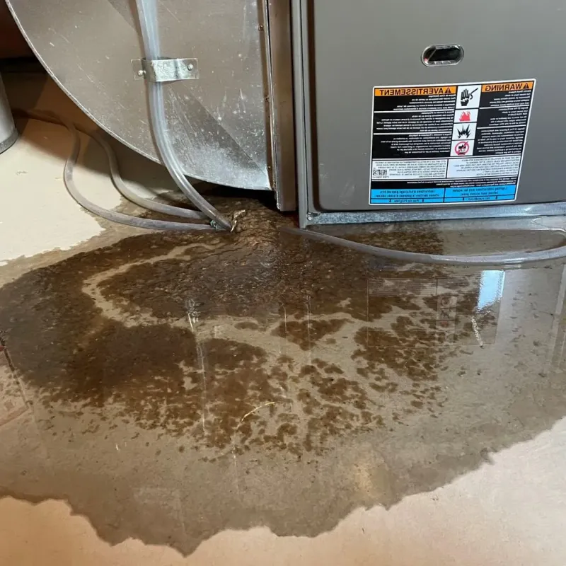 Pipe Burst and Leak Restoration in Burley, ID